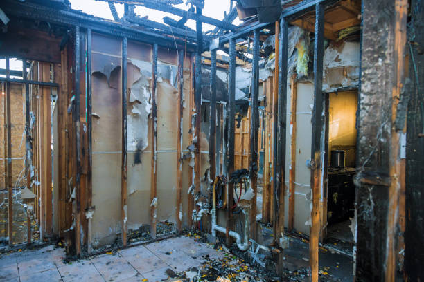 Professional Smoke Odor Removal technician working in Audubon, NJ